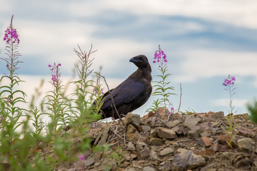 Similar image 21421333