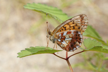 Similar image 21421336