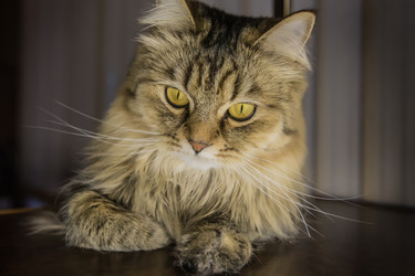 Similar image 21420436