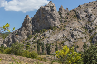 Similar image 21420438