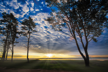 Similar image 21420440