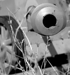 Similar image 21420457