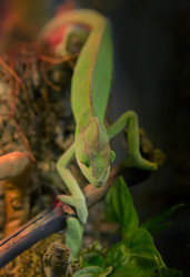 Similar image 21420471