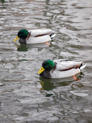 Similar image 21421167