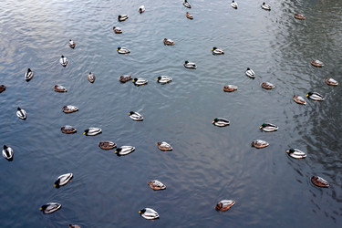 Similar image 21421169