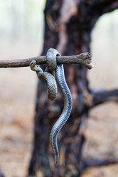 Similar image 21421758