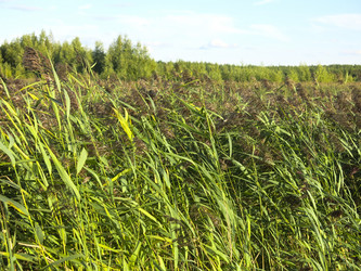 Similar image 21420309