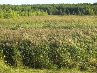 Similar image 21420310