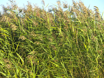 Similar image 21420311