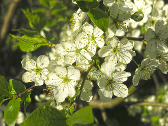 Similar image 21420312