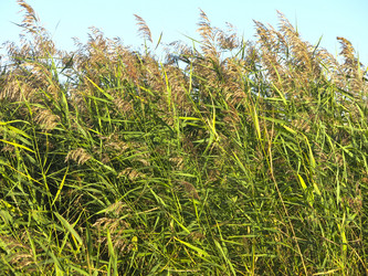 Similar image 21420313