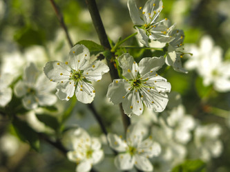 Similar image 21420314