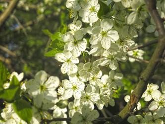 Similar image 21420315