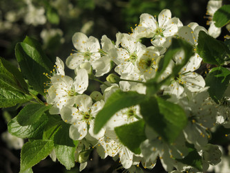 Similar image 21420316