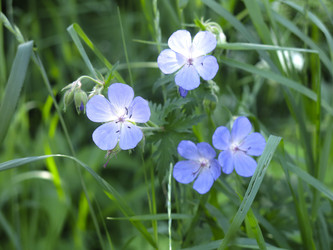 Similar image 21420317