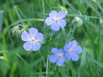 Similar image 21420319