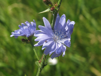 Similar image 21420320