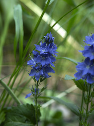 Similar image 21420321