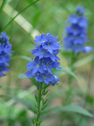 Similar image 21420322