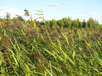 Similar image 21420323