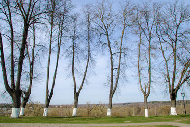 Similar image 21421190