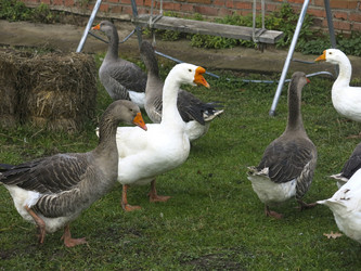 Similar image 21421205