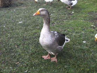 Similar image 21421207