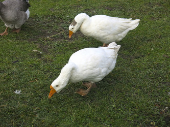 Similar image 21421208