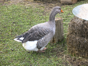 Similar image 21421209