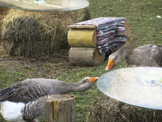 Similar image 21421211