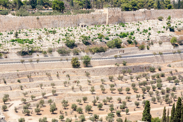 Similar image 21421049