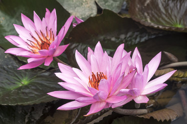 Similar image 21421057