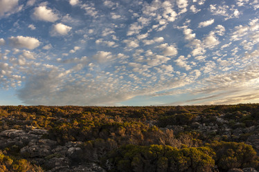 Similar image 21421062