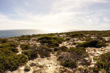 Similar image 21421065