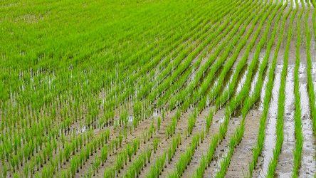 Similar image 21421068