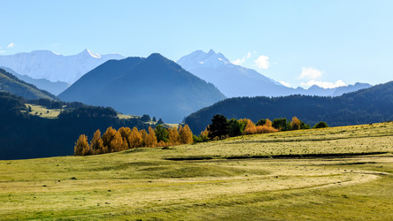 Similar image 21421073