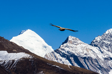 Similar image 21421081