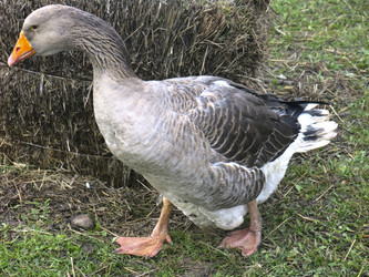 Similar image 21421213