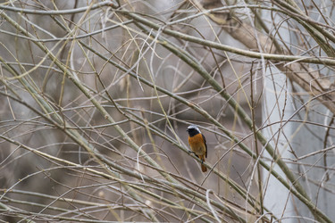 Similar image 21421877