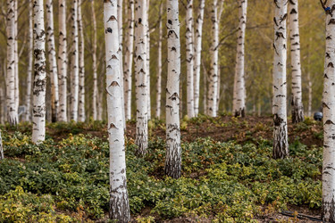 Similar image 21421227