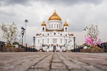 Similar image 21422624