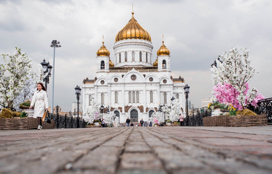 Similar image 21422625