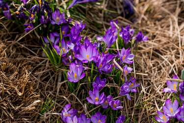 Similar image 21421231