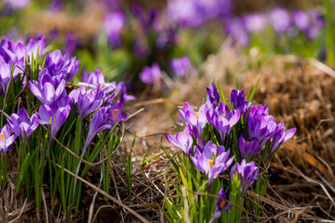 Similar image 21421232