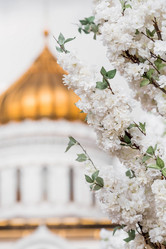 Similar image 21422631