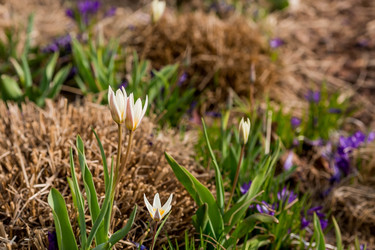 Similar image 21421233