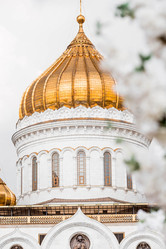 Similar image 21421234