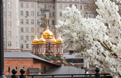 Similar image 21422632