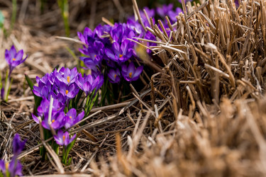 Similar image 21421237