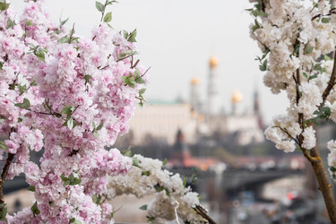 Similar image 21422639